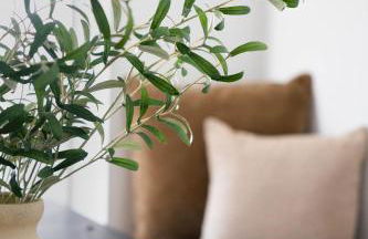 Luxury Wellness Retreat with Sauna and Cold Plunge - Foto 74