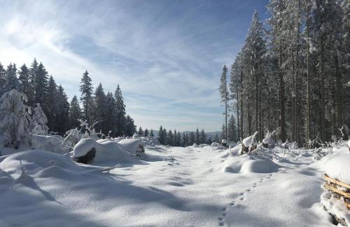 Ferienwohnung Lindenhof - Foto 32