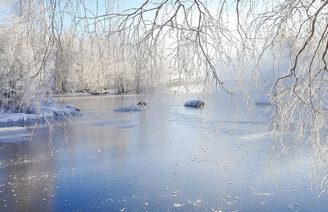 Hartolan ilo - Foto 53