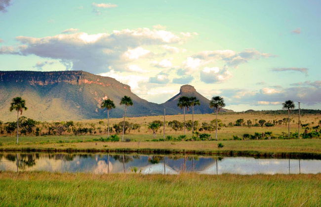 Tour de 12 días por Tocantins - Foto 5