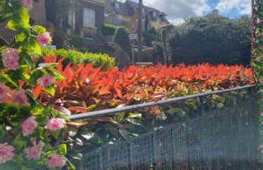 Beautiful Ground floor flat in the Heart of Rochester with balcony mobility friendly - Photo 9