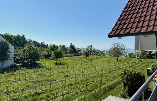 Ferienwohnung Pfänderblick - gemütliche und komfortable Familienunterkunft - Foto 17