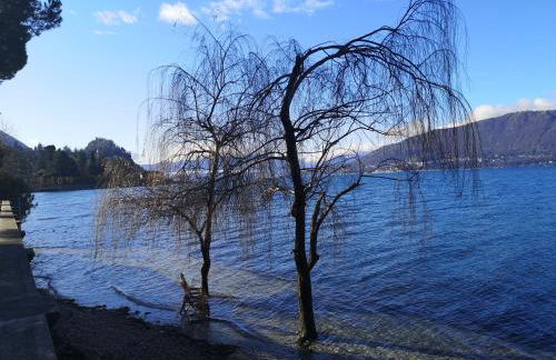 Feluca Porto - Photo 25