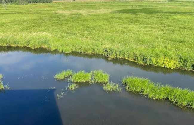 5 Person Holiday Home in Skanderborg-by Traum - Photo 36