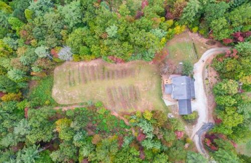 Jewel of the Woods - Foto 41