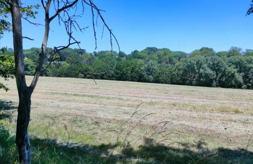 Gîte "Rêves de Gamins", proche du pôle Européen et du circuit des 24h - Foto 43