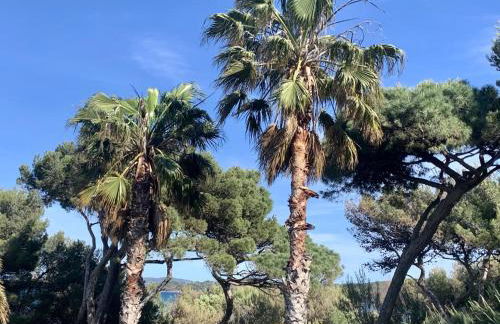 BERGERIE PLAGE Entièrement rénové Prestations Premium Baignoire Balnéo Clim Vue Piscine et parc - Foto 23