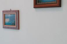 Bella Vista FIDENZA - Photo 6