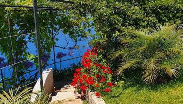 Ocean View Madeira 3 - Ponta do Sol - Foto 2