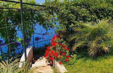 Ocean View Madeira 3 - Ponta do Sol - Foto 2