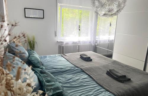 Steinach Apartment - Photo 1