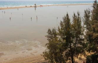 Astarita SUN - Photo 57