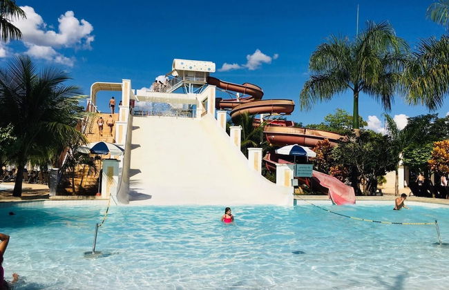 Lacqua diroma - Foto 33