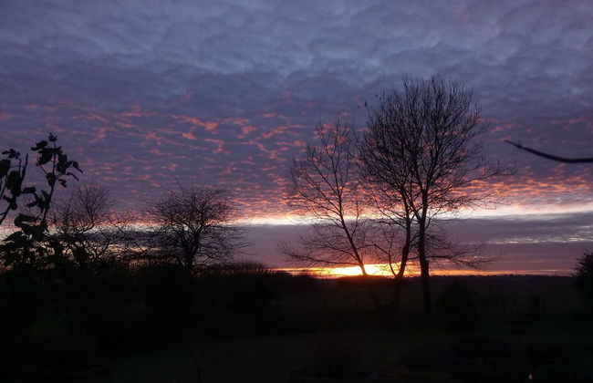 Cottage in Brookland Near Romney Marsh Beach - Photo 23