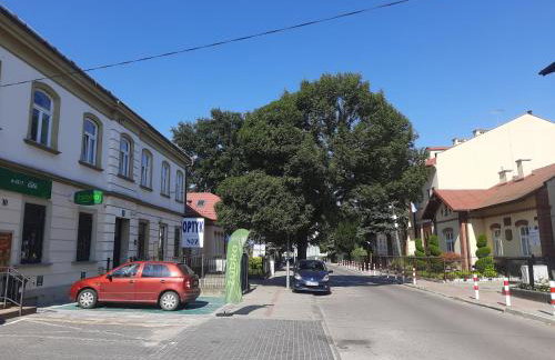 Klimatyczne Poddasze - Foto 12