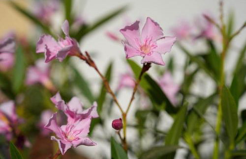 101-freiburg - Foto 12