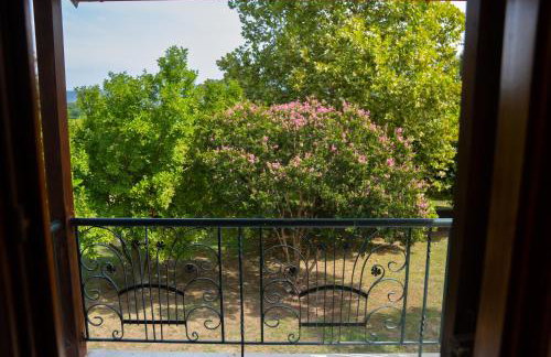 Nikola's Garden - Foto 17