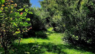 Ferienhaus Graziadei - Foto 5