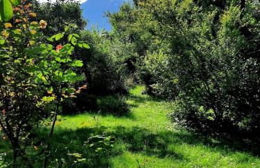 Ferienhaus Graziadei - Foto 5