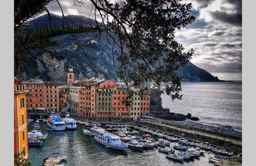 Rosablu vacanza tra mare e Parco di Portofino - Foto 45