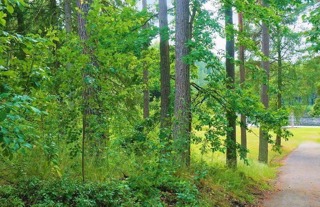 4 Person Holiday Home in Falkoping - Foto 13