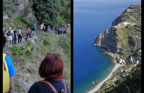 Verde & Mare - Photo 64