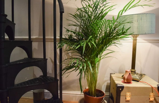 Stylish and Spacious Apartment With Terrace - Foto 20