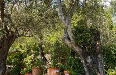 Villa Chrysoula - Foto 15