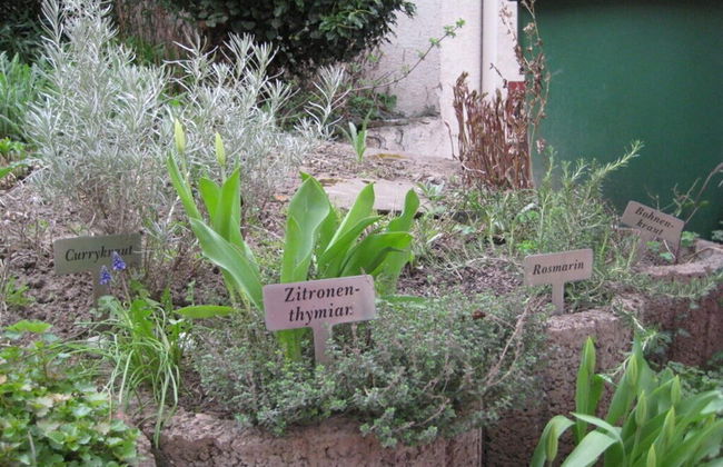 Apartment in Tauberbischofsheim - Foto 35