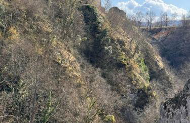 Apartment & Room Monika - Foto 29