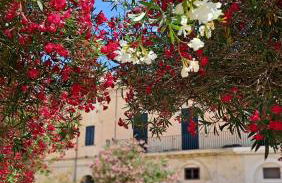 MAYU'S HOUSE , Dimora nel centro storico di Lecce - Foto 6