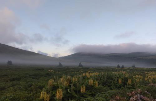 Alojamento Local M&I - Foto 45