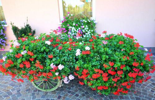 Agritur Le Pergolette - Foto 70