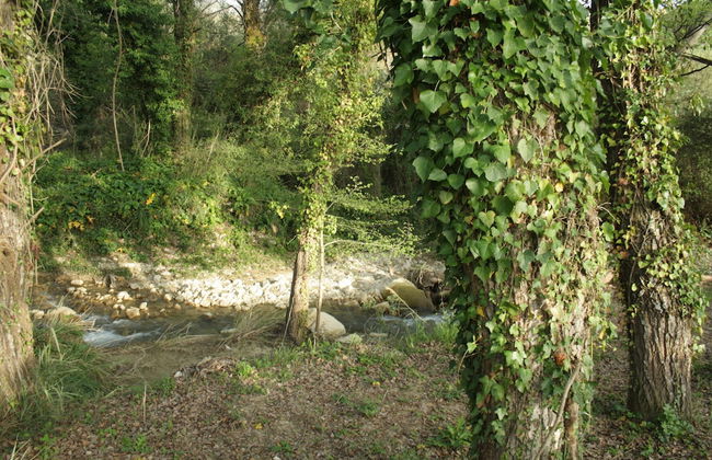 Il Bevaio di Corleone - Photo 48