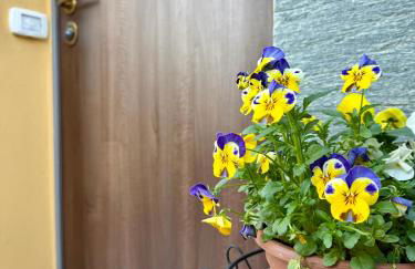 LR Deluxe Apartments - Casa Holi - Photo 36