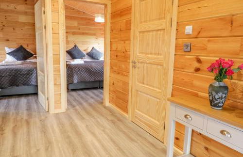 Bryn Eiddon Log Cabin - Photo 20