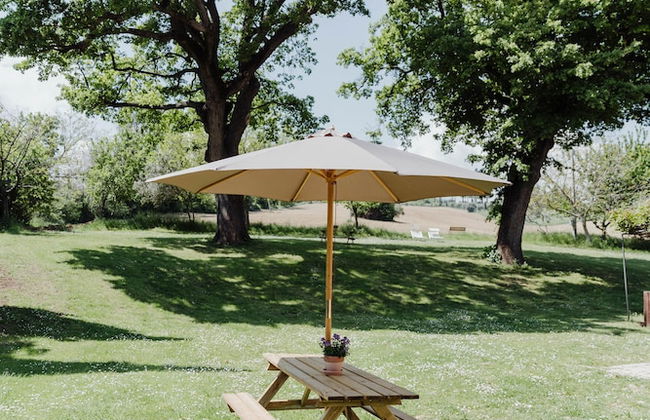 Qui Voglio - Photo 44