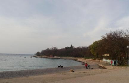 Apartments Marja - Photo 34