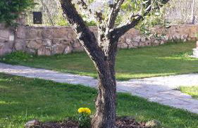 Alojamiento Turistico La Dehesa - Photo 19