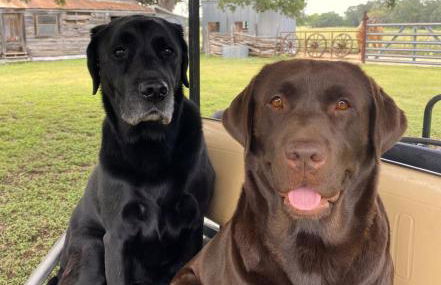 Private cabin on 100 scenic acres with balcony views - Foto 44