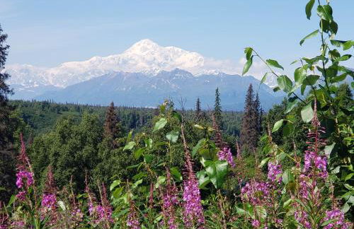 Denali Wild Stay - Moose Cabin, Free Wifi, 2 private bedrooms, sleep 6 - Photo 56