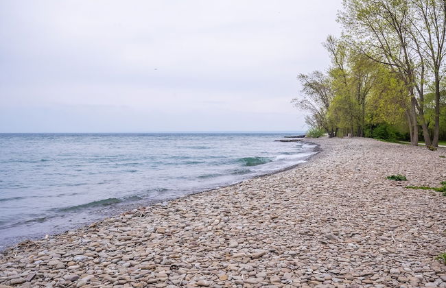 GLOBALSTAY Sunny Basement Brontë park - Foto 30