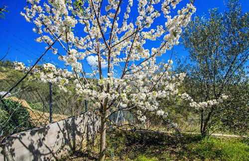 Catalunya Casas Modern Hilltop Haven with private pool 7km to beach - Foto 24