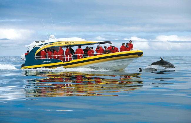 Giro in barca all'isola Tasman - Foto 1