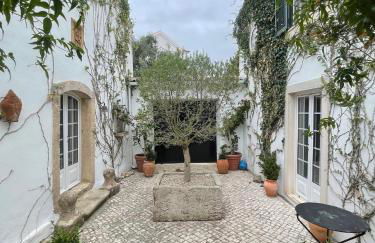 Villa das Vinhas - Photo 3