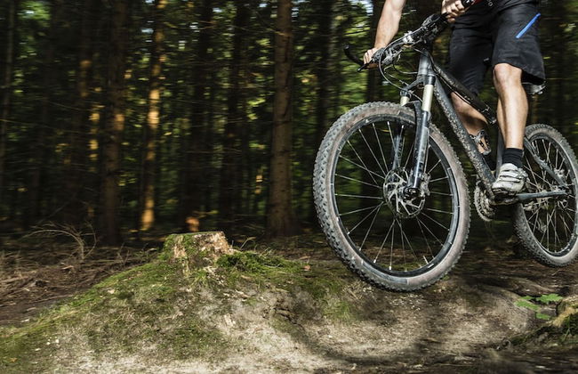 Bighorn Meadows Resort - Foto 46