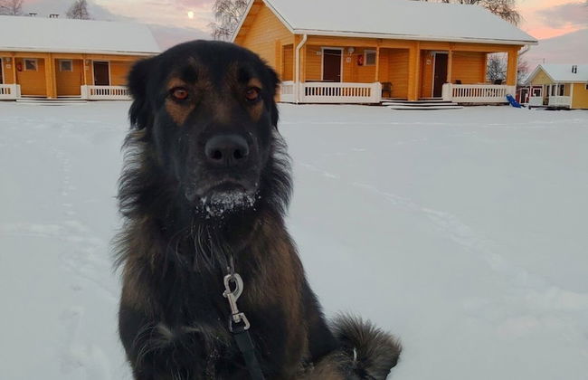 Atlantis Village - Foto 46