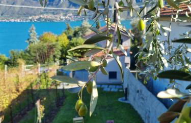 Bellagio Il Crotto - Foto 54