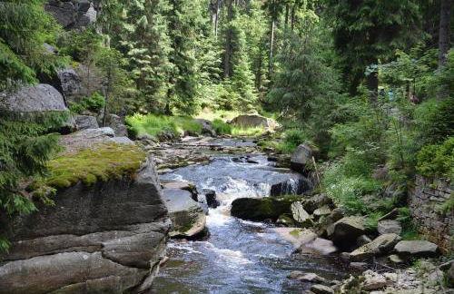 Verlegerhaus Seiffen - Foto 41