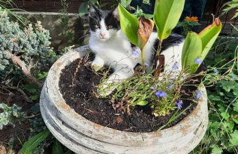 Noclegi u Babci Gieni - Foto 7